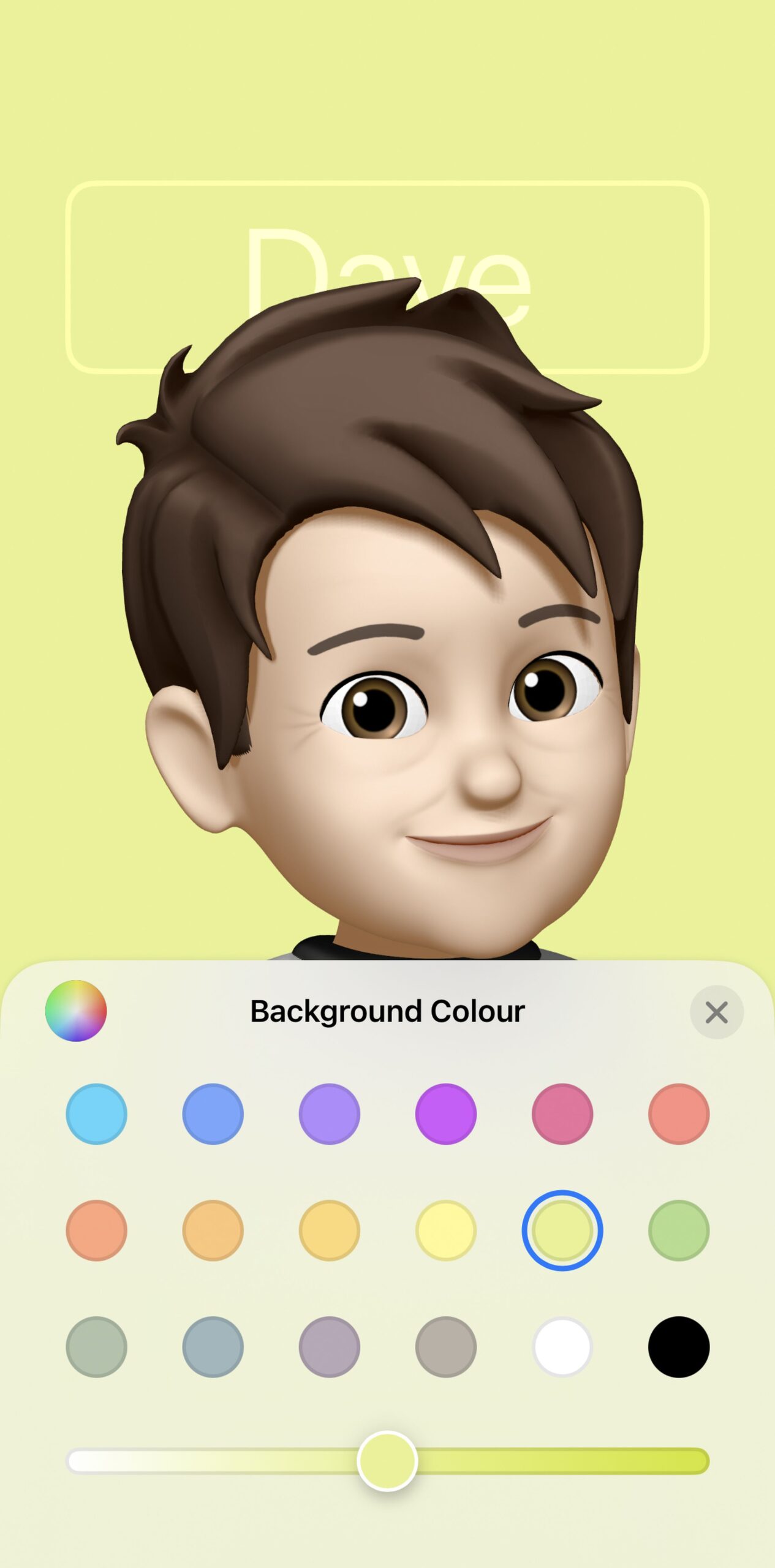 Illustration of head of boy with brown hair over the word Dave, with words Background Colour and circles with different colors on bottom third of screen.