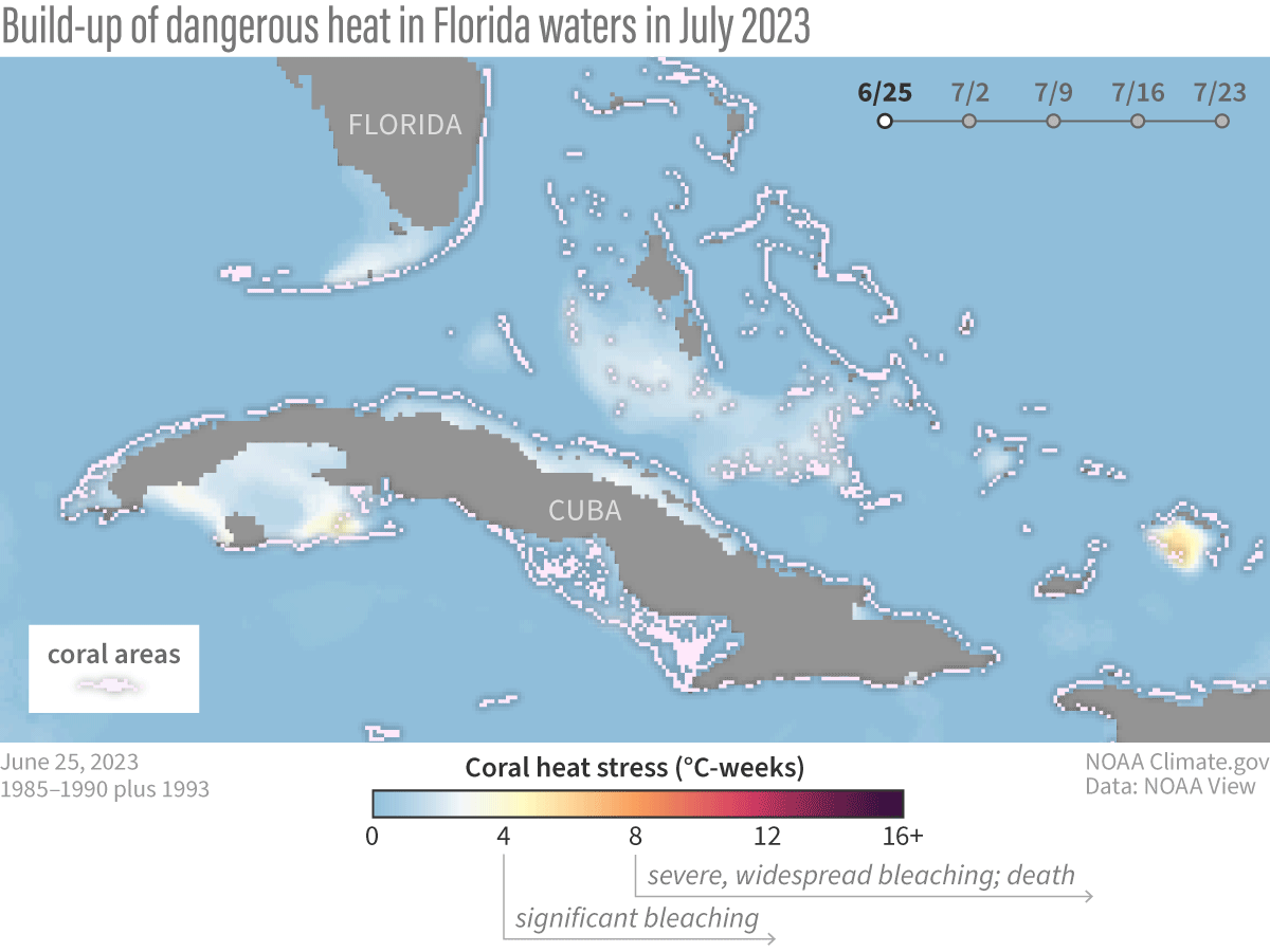A GIF showing a map of the waters around Florida, the Keys, and Cuba. The color of the water shifts from blue, to yellow, orange, and red, to show worsening heat stress.