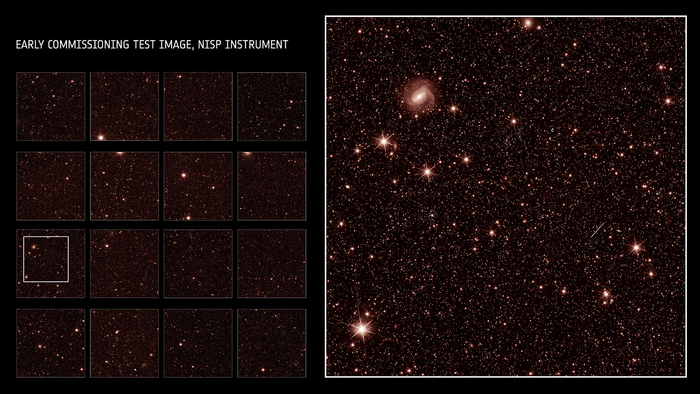 A grid of thumbnails (left) showing infrared images taken by Euclid, with a close-up of one image on the right.