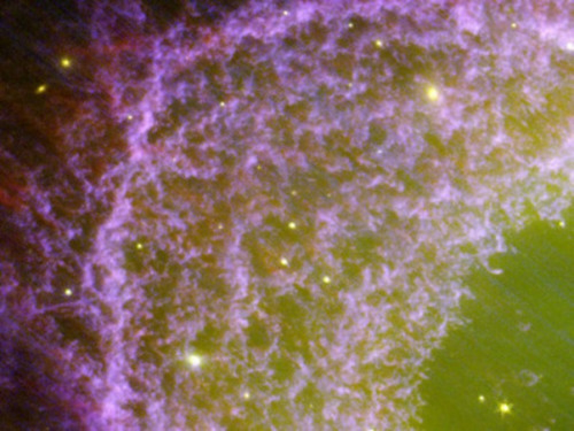 Observing Ring Nebula